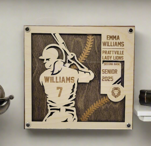 Softball Player Gift, Senior Night Gift for Softball Player, Softball Recognition Award for Softball Player, Softball Team Gifts, Gifts for Softball Team, Softball Trophy, Softball Plaque, Softball Player Decor,