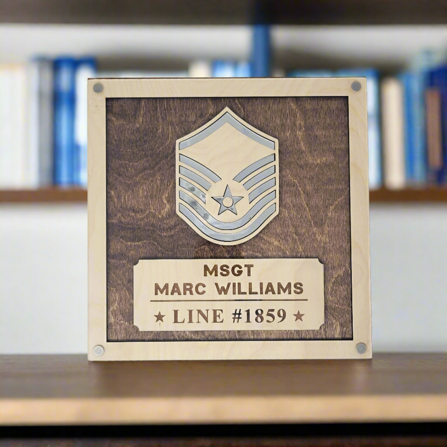 Personalized Air Force Promotion Gift, PCS Gift, Retirement Gift for Air Force Enlisted or Air Force Officer. Personalized Air Force Promotion Plaque