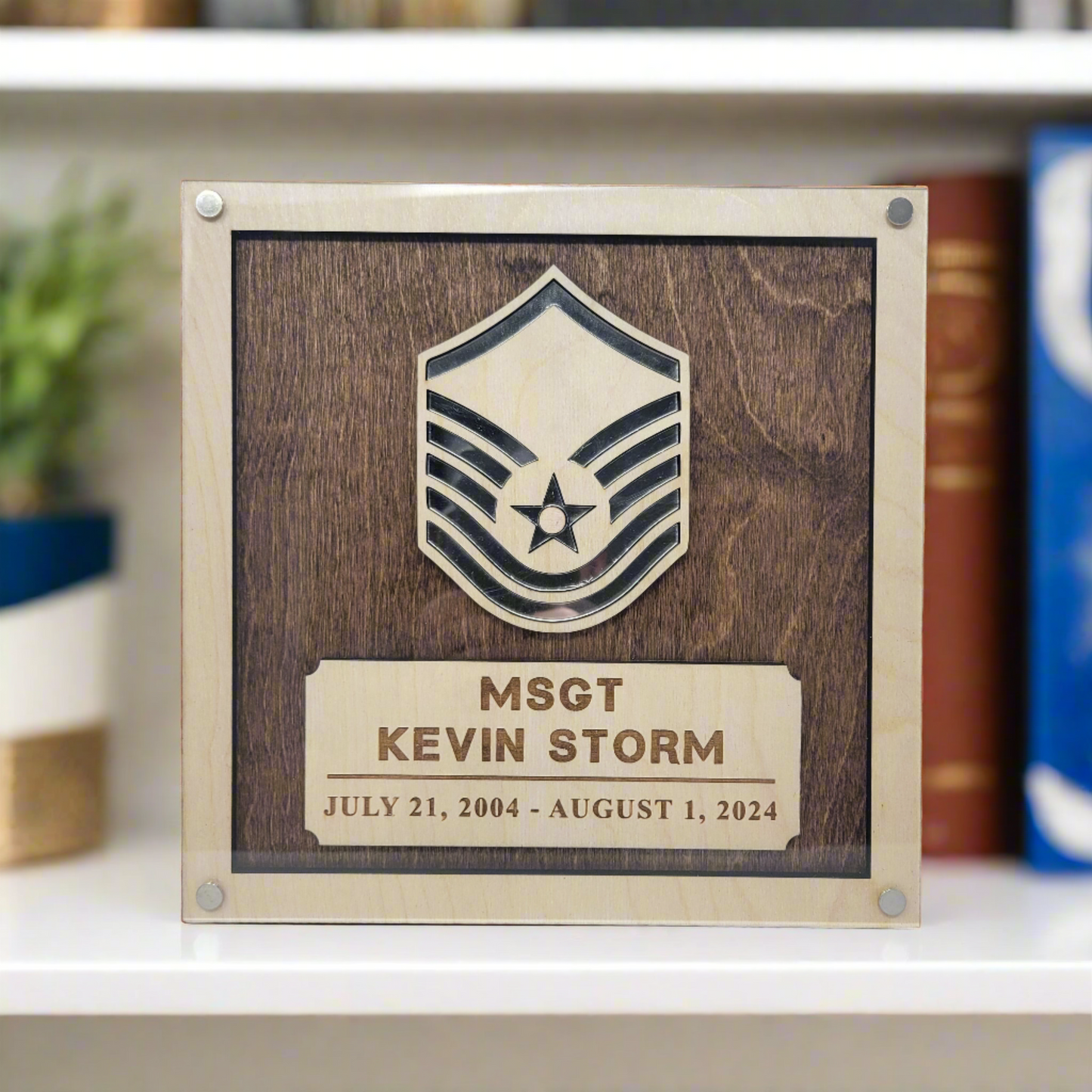 Personalized Air Force Promotion Gift, PCS Gift, Retirement Gift for Air Force Enlisted or Air Force Officer. Personalized Air Force Promotion Plaque