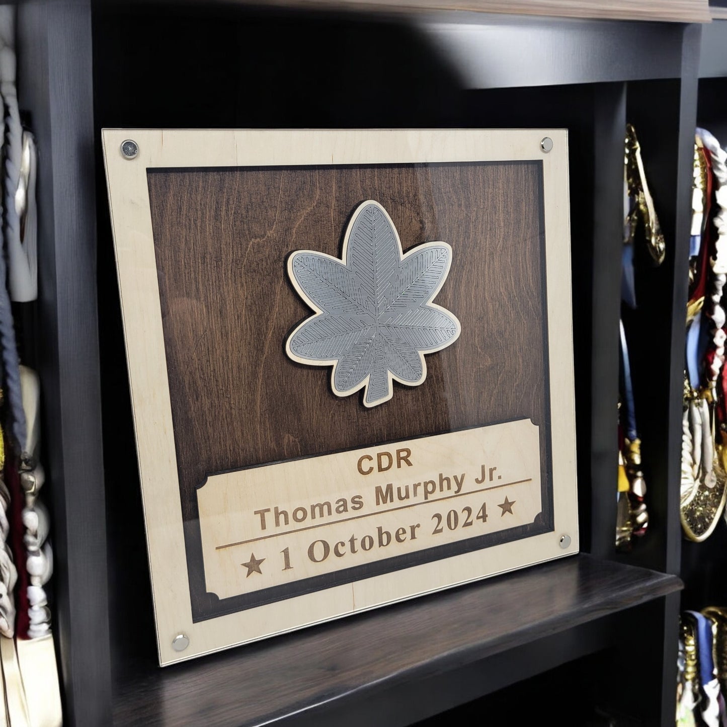 Navy Promotion Plaque, Promotion Gift for Navy Officer, Navy Promotion Gift, Navy Promotion, Military Promotion, Navy Retirement Plaque, Navy Retirement Gift, Navy Retirement Award, Navy Retirement, Navy Gift