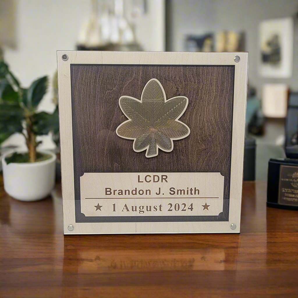 Navy Promotion Plaque, Promotion Gift for Navy Officer, Navy Promotion Gift, Navy Promotion, Military Promotion, Navy Retirement Plaque, Navy Retirement Gift, Navy Retirement Award, Navy Retirement, Navy Gift