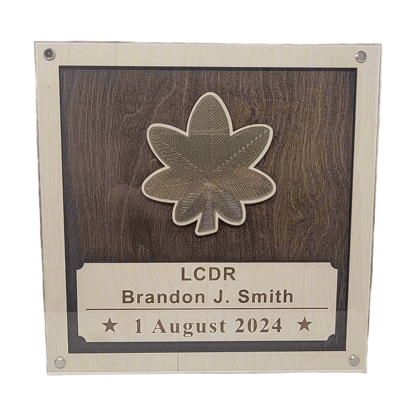 US Navy Promotion Gift Plaque, Military Promotion Gift for Officer or Enlisted Navy, Sailor Gift, Navy Gift, Navy Retirement, Navy Award