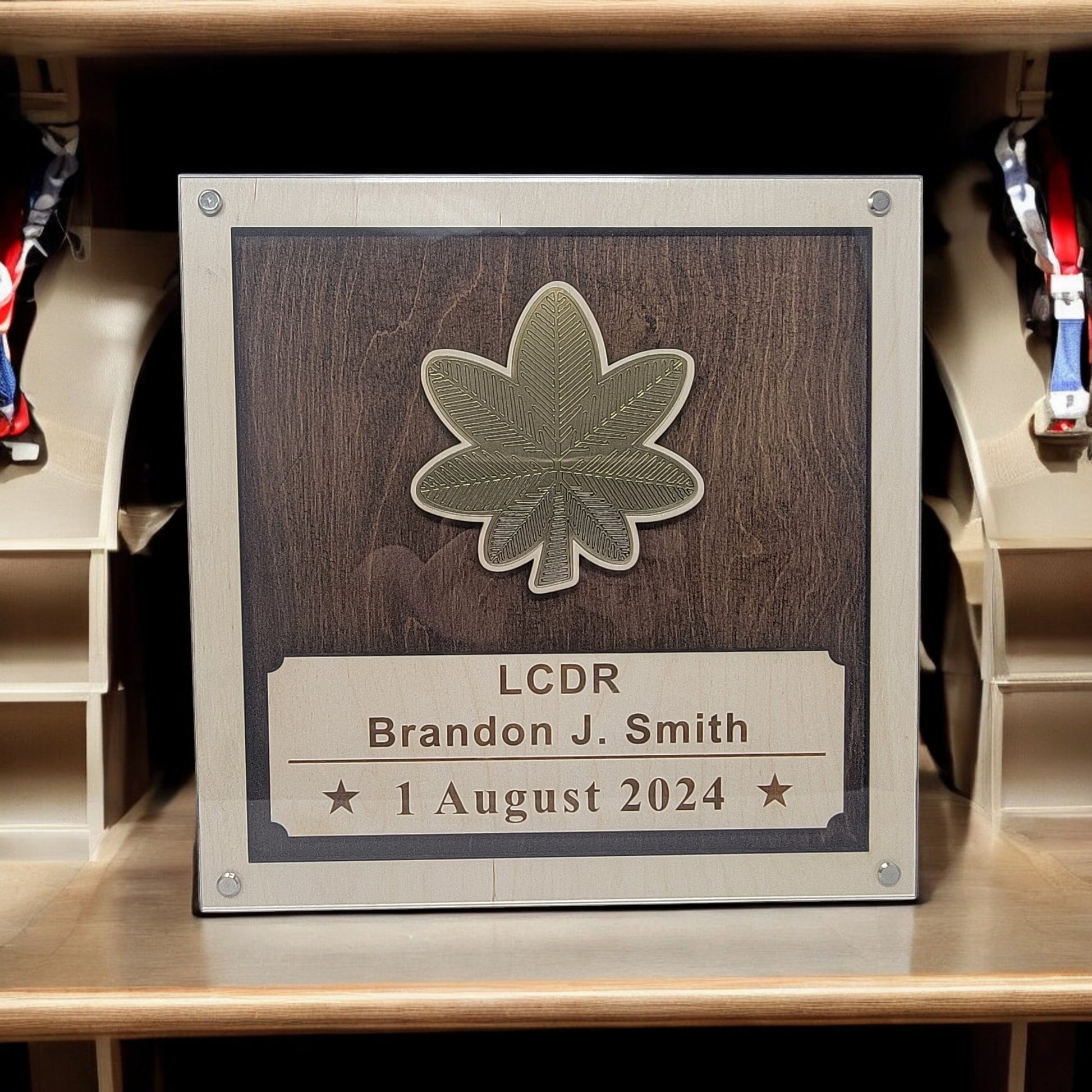 Navy Promotion Plaque, Promotion Gift for Navy Officer, Navy Promotion Gift, Navy Promotion, Military Promotion, Navy Retirement Plaque, Navy Retirement Gift, Navy Retirement Award, Navy Retirement, Navy Gift