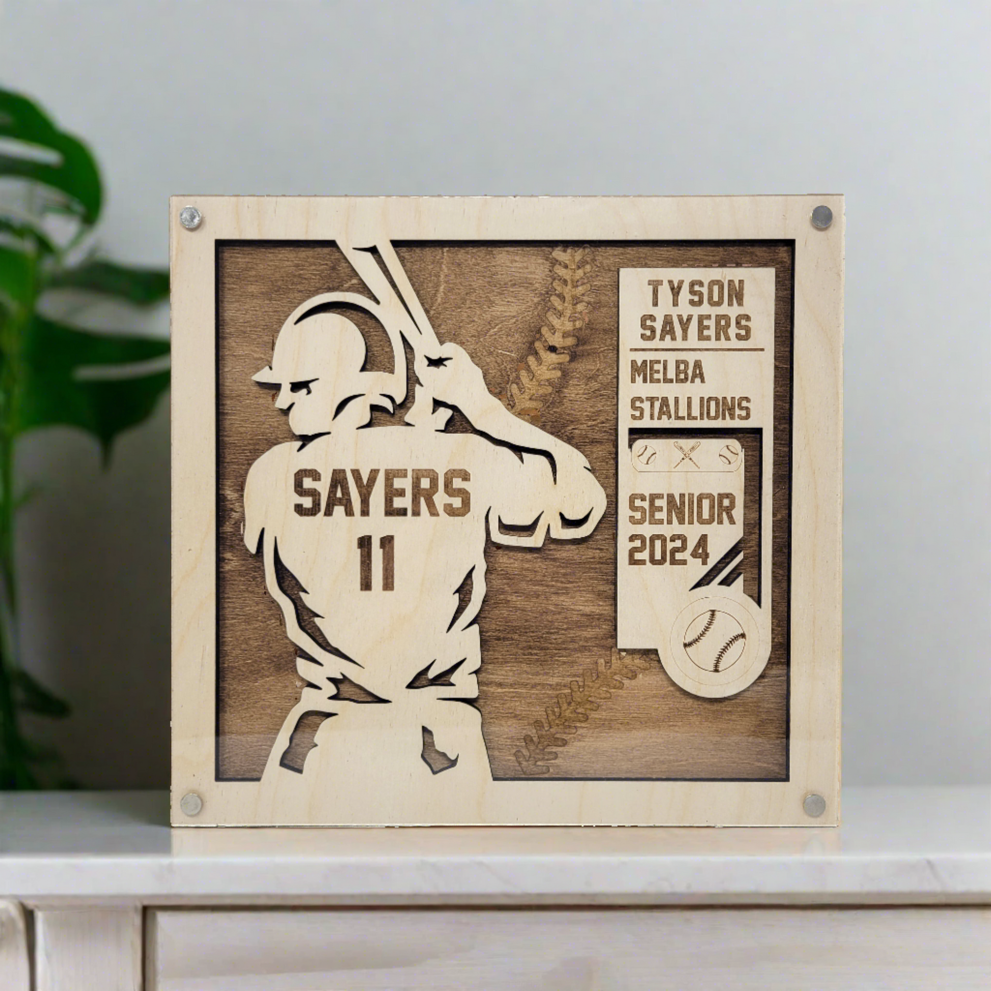 Personalized baseball player plaque with a stained background, professional photography, with a name, year, and team engraved, also personalized with a baseball logo, green plant in the background