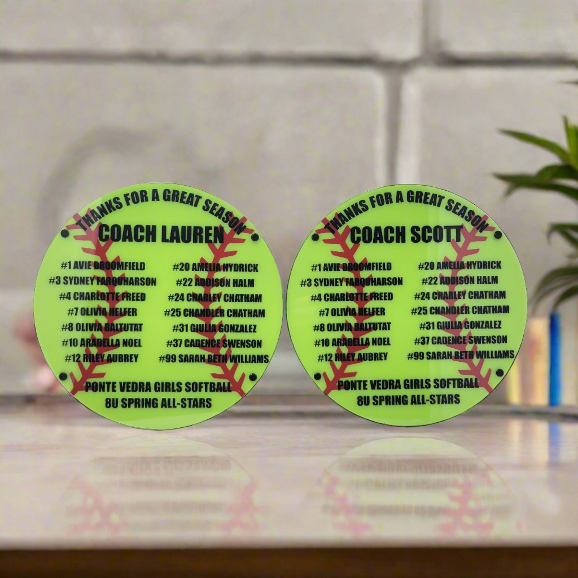 Softball coach plaques, coach gift for softball coach, personalized plaque