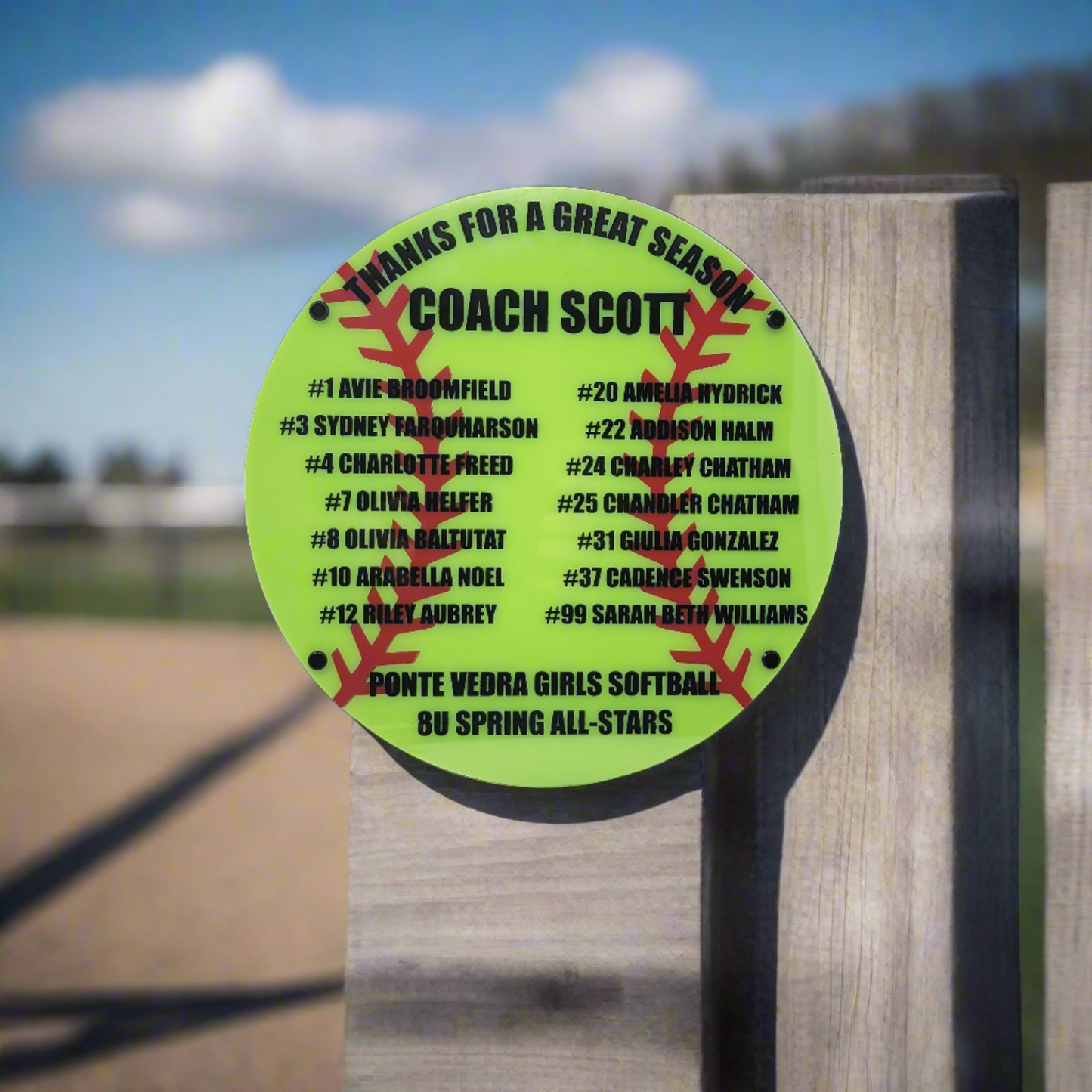 Softball Coach Plaque - Personalized Softball Coach Appreciation Gift, End of Season Gift for Softball Coach - Image 20 of 20