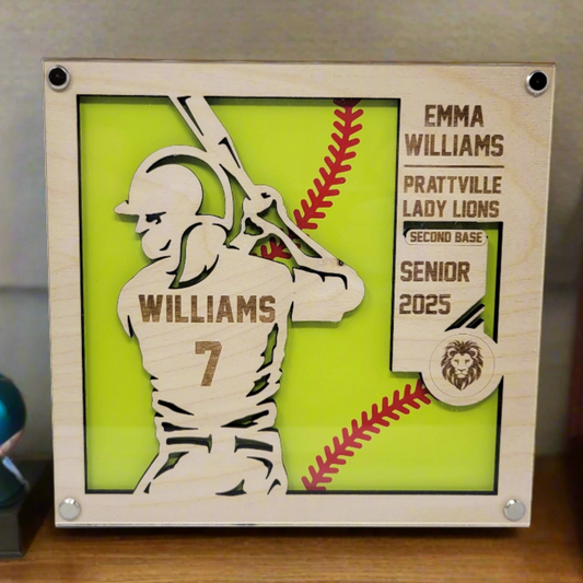 Softball Award Plaque, Personalized Softball Senior Gift for Senior Softball Players and Teams, Softball Player Award, Custom Softball Award, Custom Softball Plaque