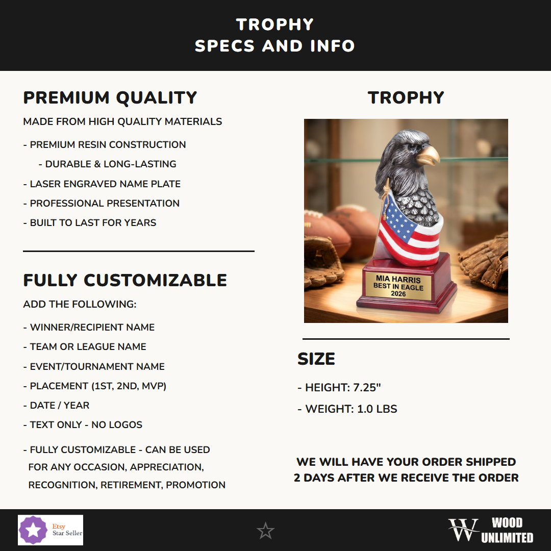 AE308 infographic 1