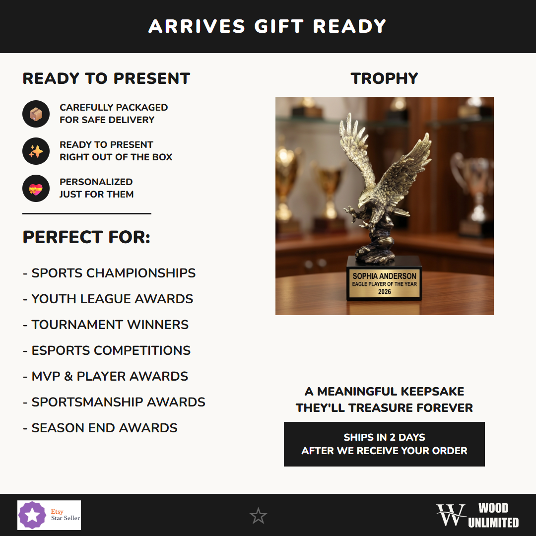 AE600 gift infographic