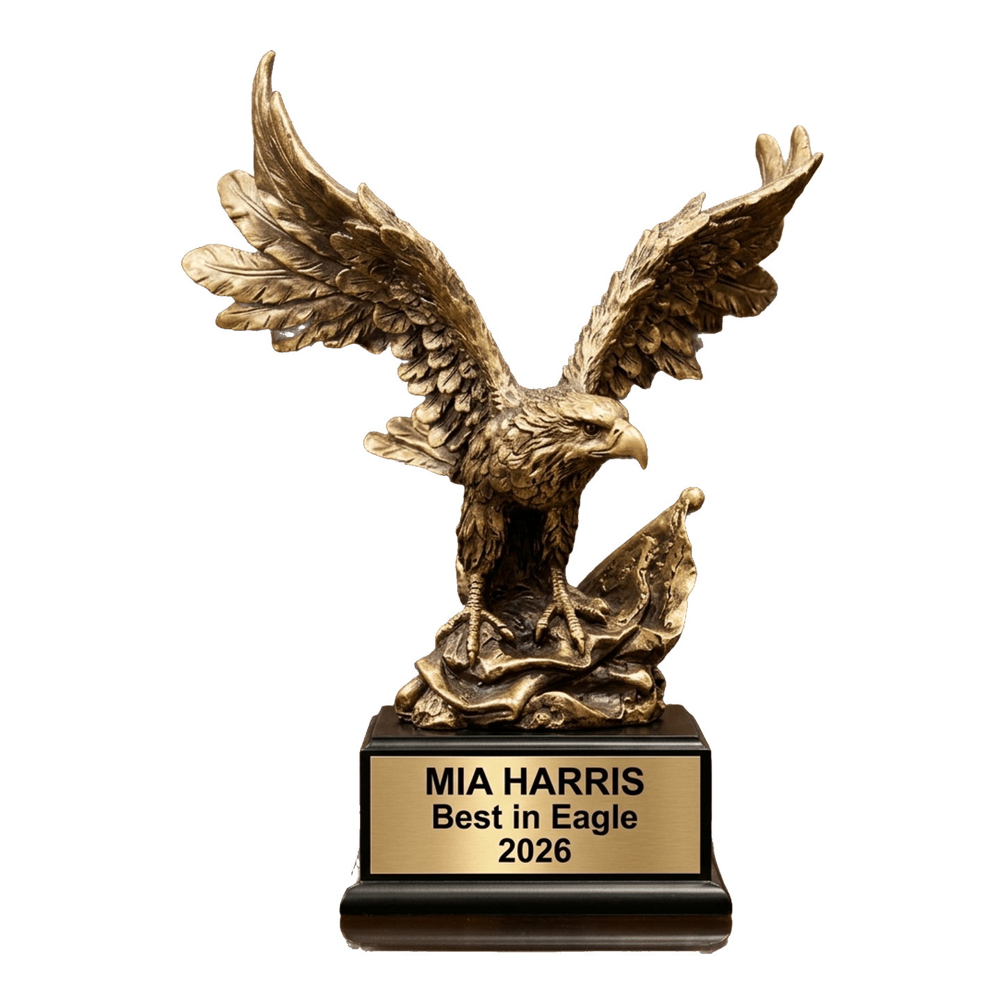 Personalized | Patriotic Award | Custom Engraved | Eagle Trophy | Military Gift | Veteran Award | Retirement Trophy