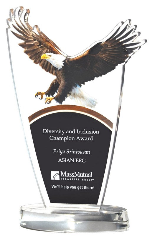 Manufacturer reference photo of the Diversity & Inclusion Awards award blank in resin before custom engraving — featuring Custom D&I Achievement Plaque, a popular choice for Employee Resource Groups for Corporate award ceremonies
