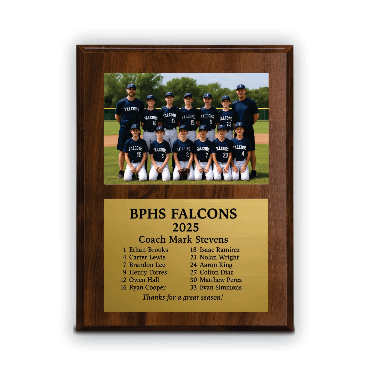 Personalized Baseball Coach Photo Plaque – Custom Engraved Gold Plate Award, Slide-In Team Picture Gift, Baseball Coach Appreciation Keepsake