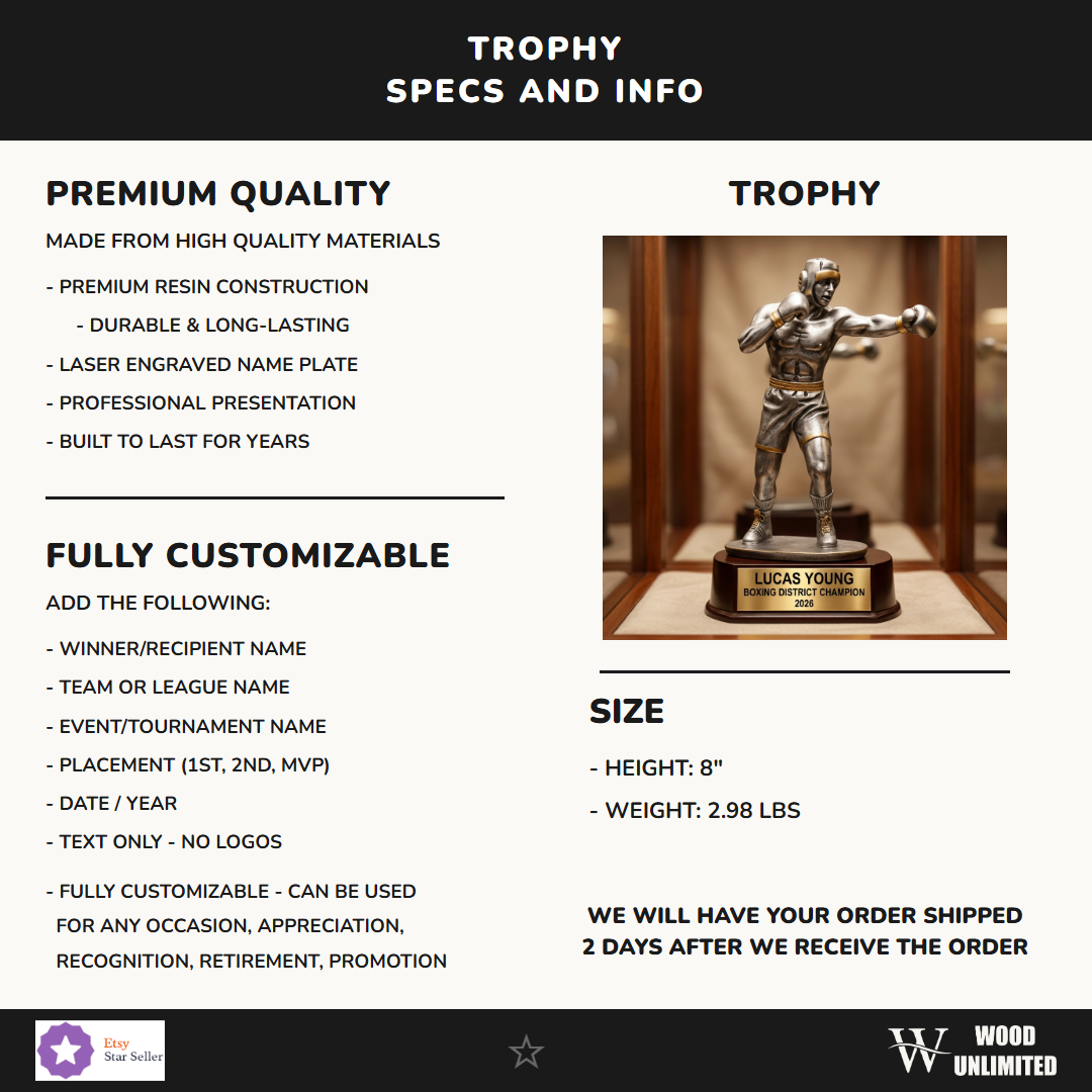 Boxing Resin Figure Trophy 8"