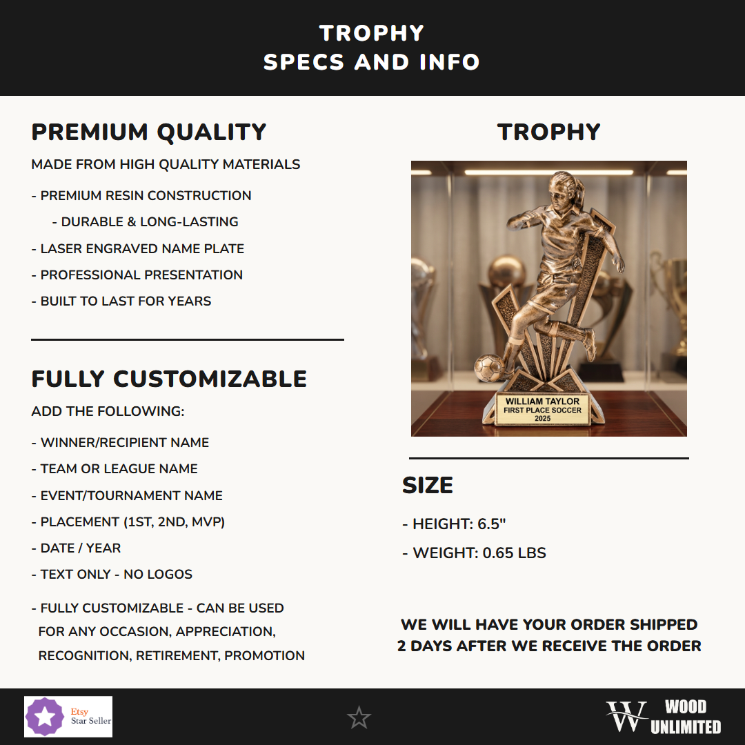 RF1919 specs infographic