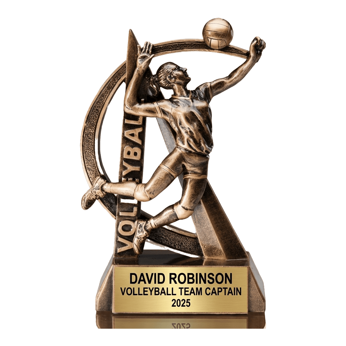 Volleyball Award Trophy | Personalized | Custom Engraved | Volleyball Gift | Team Award