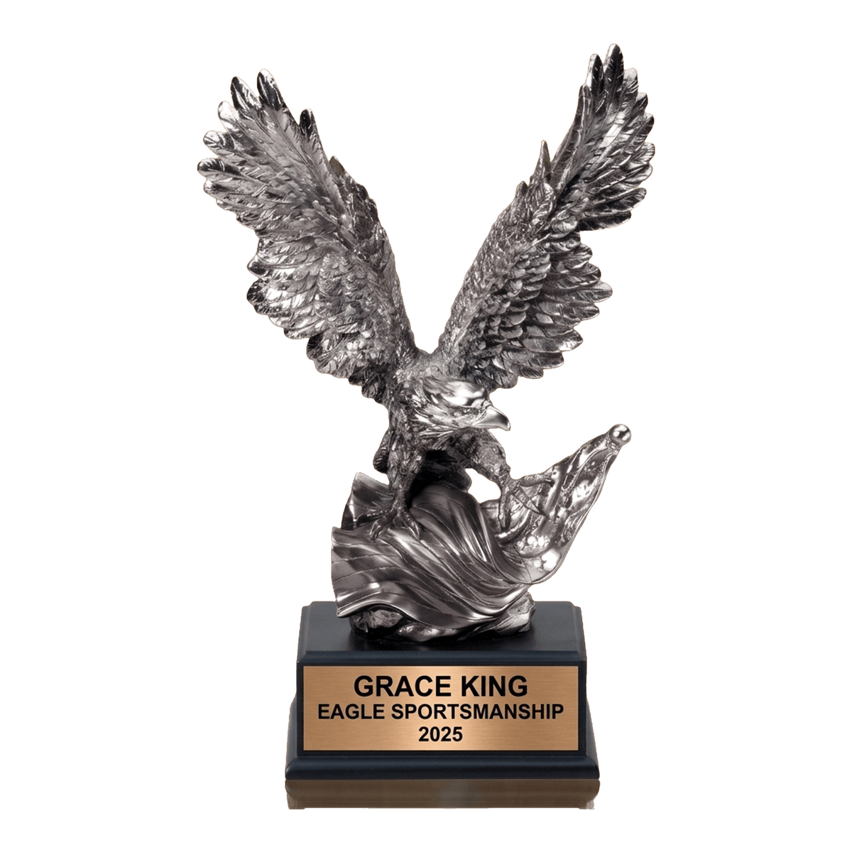 Personalized | Eagle Award | Custom Engraved | Eagle Trophy | Patriotic Award | Military Veteran | Achievement Gift | Sportsmanship Award