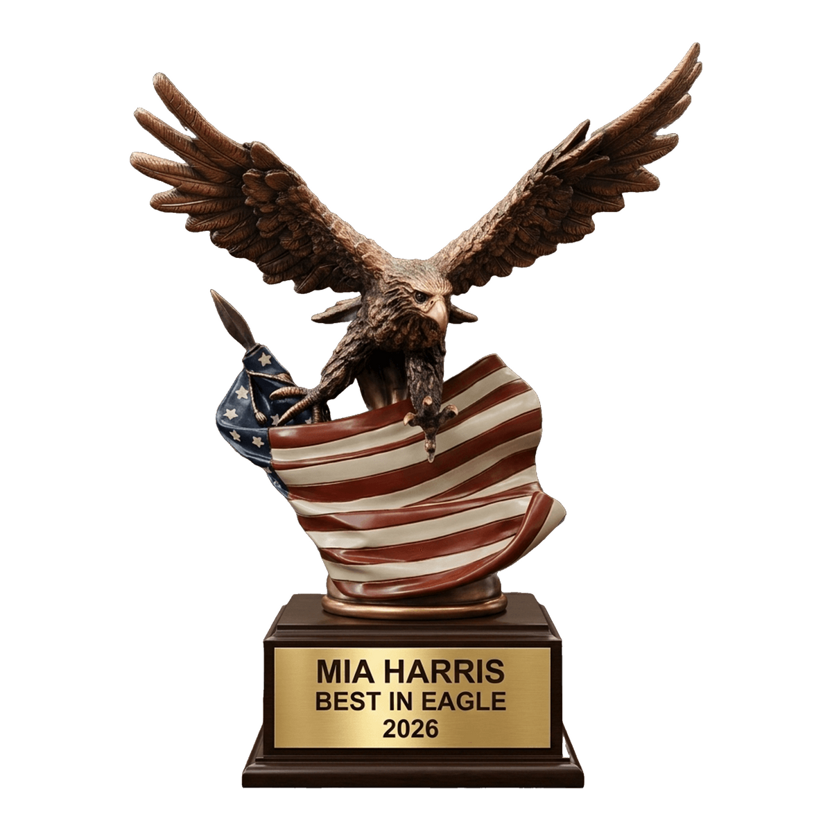 Personalized | Patriotic Award | Custom Engraved | Patriotic Eagle | Military Award | Veteran Gift | American Flag | Service Trophy