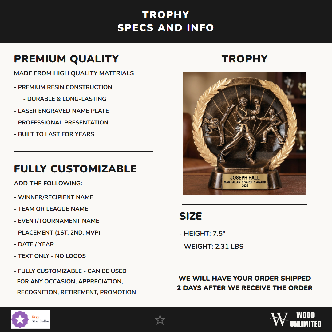 Martial Arts Resin Figure Trophy 7"