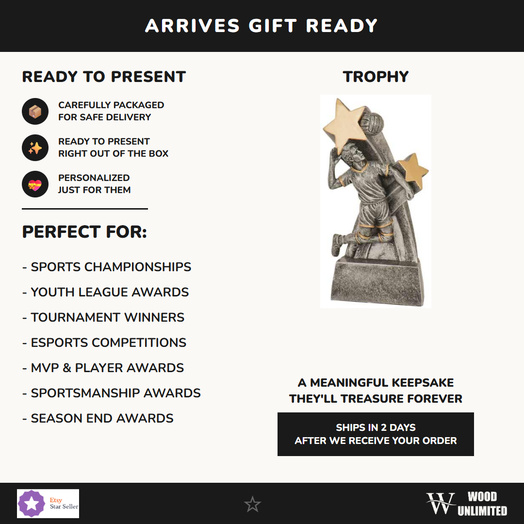 Volleyball Trophy - gift info