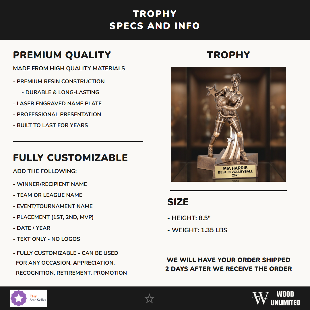 Volleyball Award Trophy 8.5"