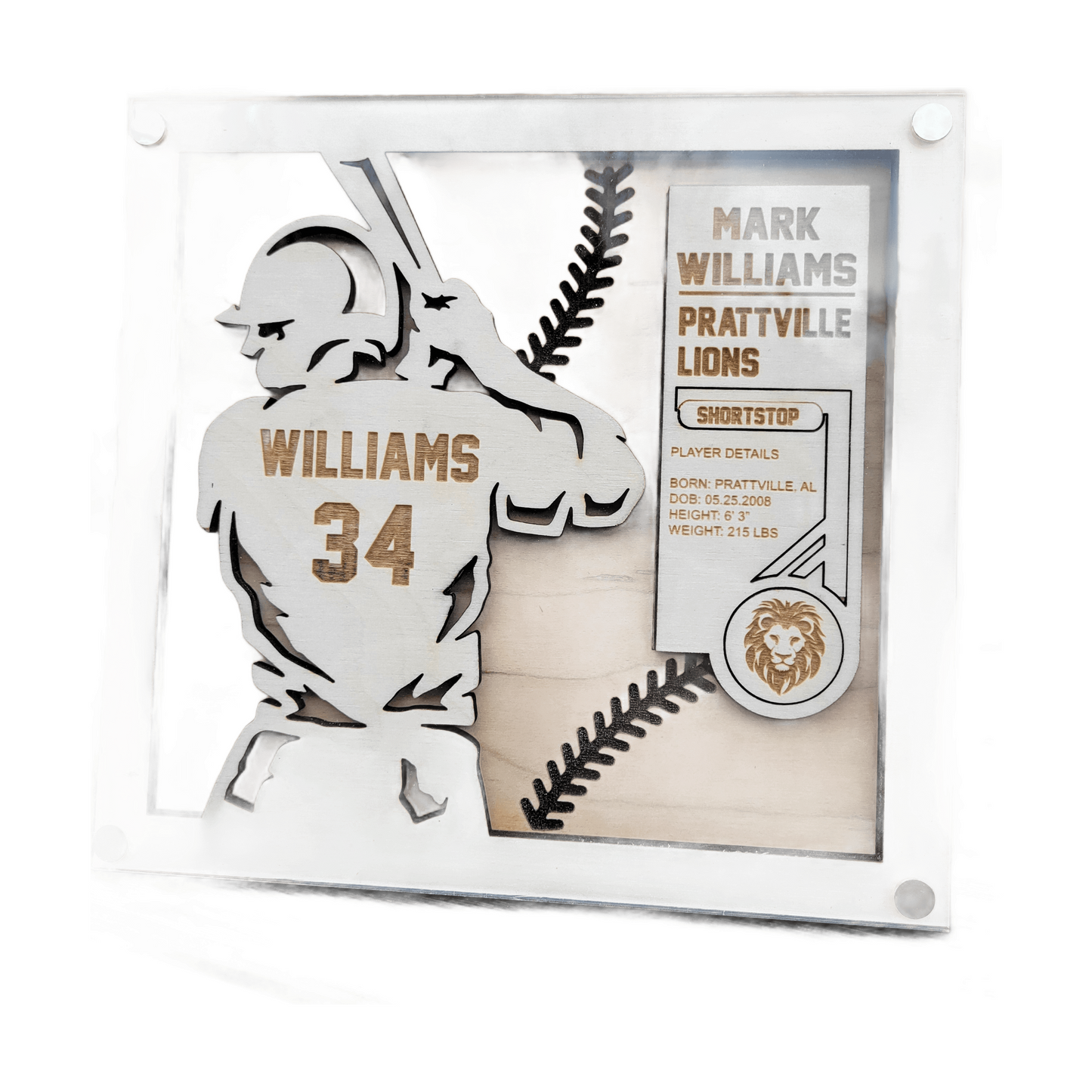 Personalized Baseball Sign, 3D Baseball Sign, Baseball Senior Gift, Custom Baseball Sign, Baseball Player, Baseball Graduation Gift, Trophy