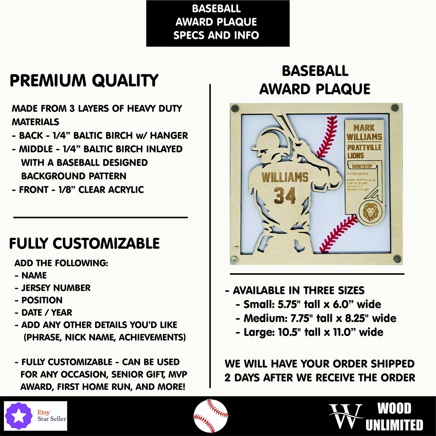 Custom Baseball Player Stats Plaque — view 4