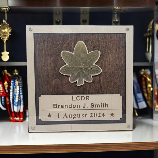 Navy Promotion Plaque, Promotion Gift for Navy Officer, Navy Promotion Gift, Navy Promotion, Military Promotion, Navy Retirement Plaque, Navy Retirement Gift, Navy Retirement Award, Navy Retirement, Navy Gift