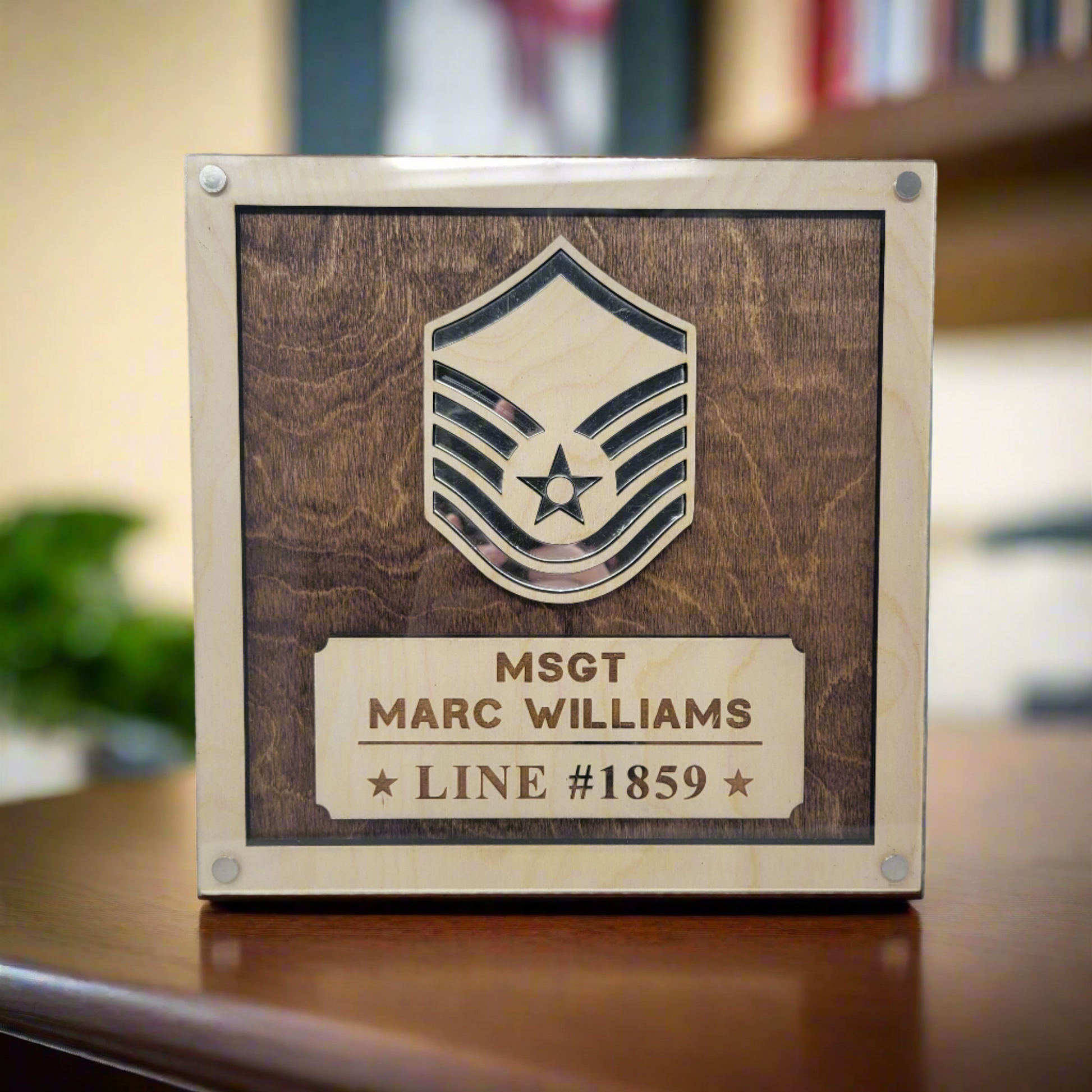 Personalized Air Force Promotion Gift, PCS Gift, Retirement Gift for Air Force Enlisted or Air Force Officer. Personalized Air Force Promotion Plaque