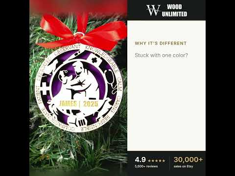 Personalized Veterinarian Christmas Ornament – Gift for Male Veterinarian or Vet Tech, Ani video