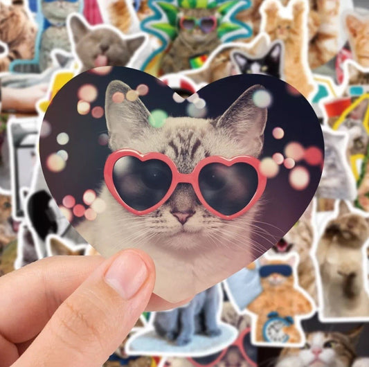 Cat Stickers - Sticker Bundle for Water Bottles, Laptops, Notebook Stickers - Sticker Grab Bag - Wood Unlimited#