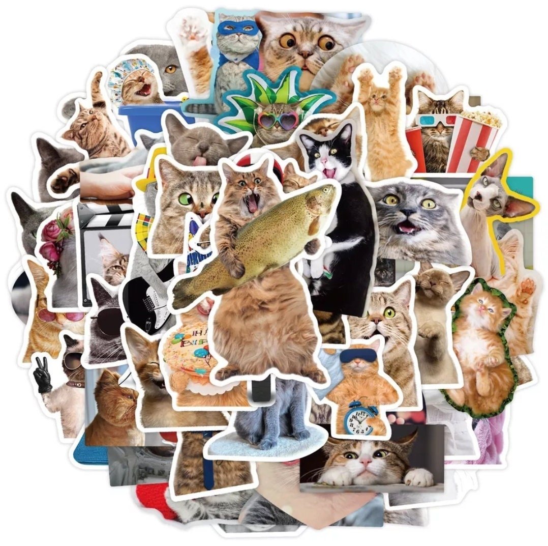 Cat Stickers - Sticker Bundle for Water Bottles, Laptops, Notebook Stickers - Sticker Grab Bag - Wood Unlimited#