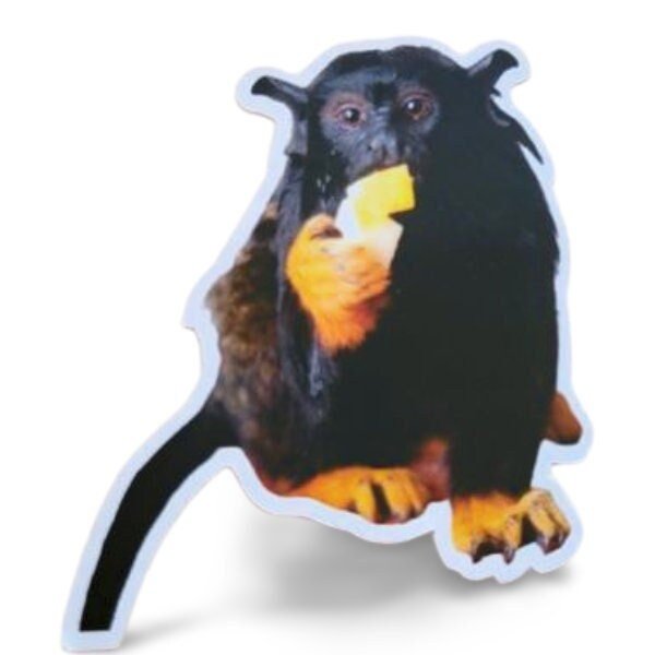 Red Handed Tamarin Sticker - Funny Sticker - Tamarin Monkey - Monkey Sticker - Marmoset Sticker- - Wood Unlimited#