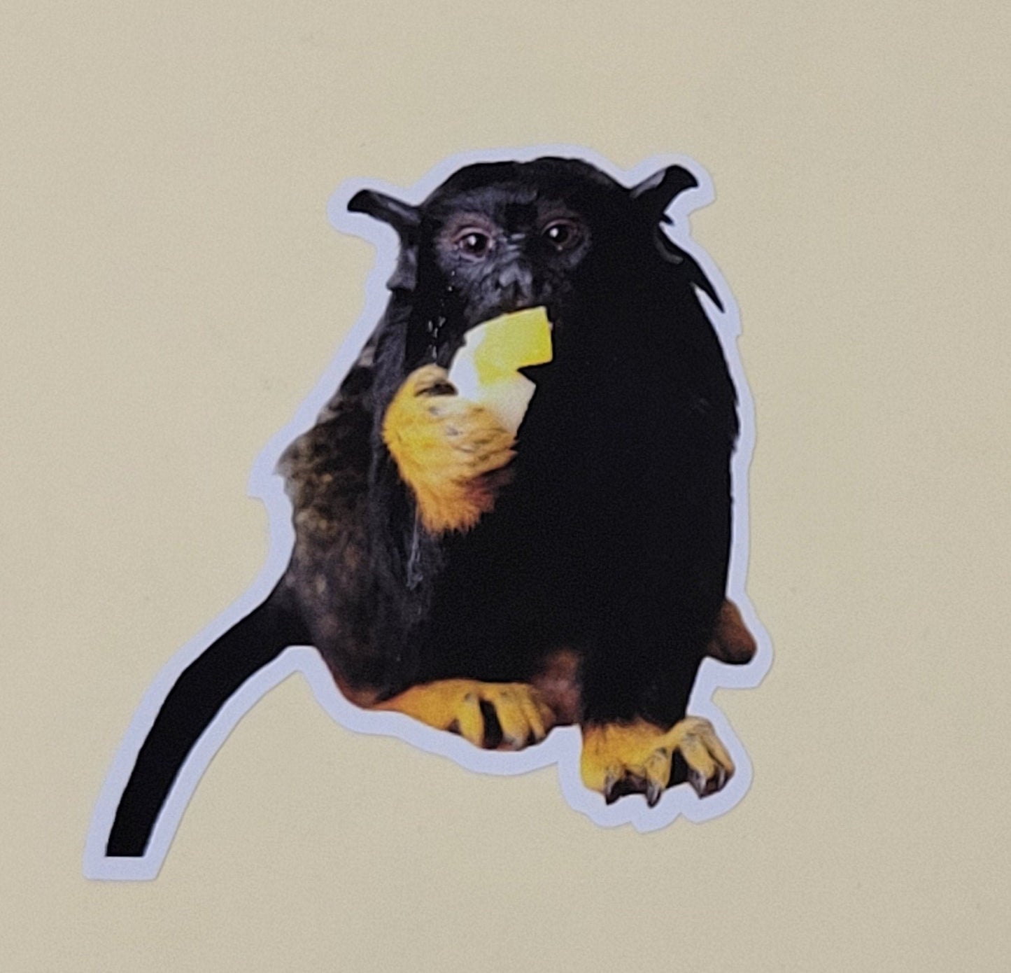 Red Handed Tamarin Sticker - Funny Sticker - Tamarin Monkey - Monkey Sticker - Marmoset Sticker- - Wood Unlimited#