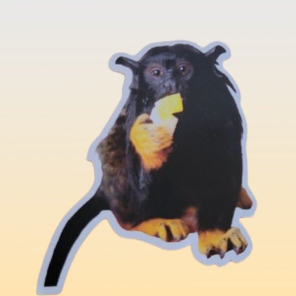 Red Handed Tamarin Sticker - Funny Sticker - Tamarin Monkey - Monkey Sticker - Marmoset Sticker- - Wood Unlimited#