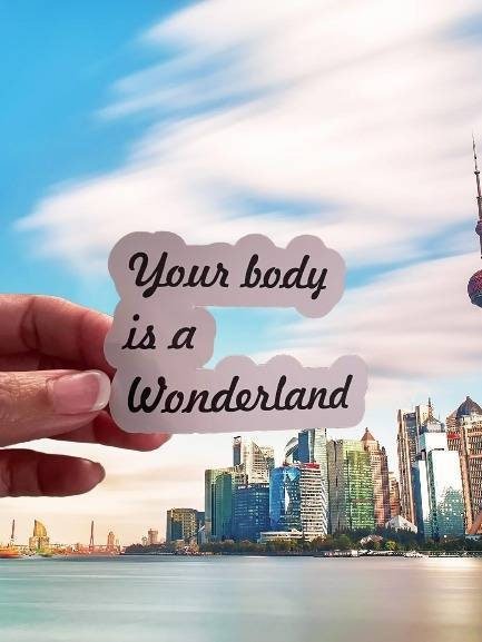 Your Body is a Wonderland Sticker - Funny Sticker - John Mayer - Gift - Wood Unlimited#